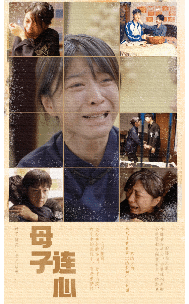 母子连心全集