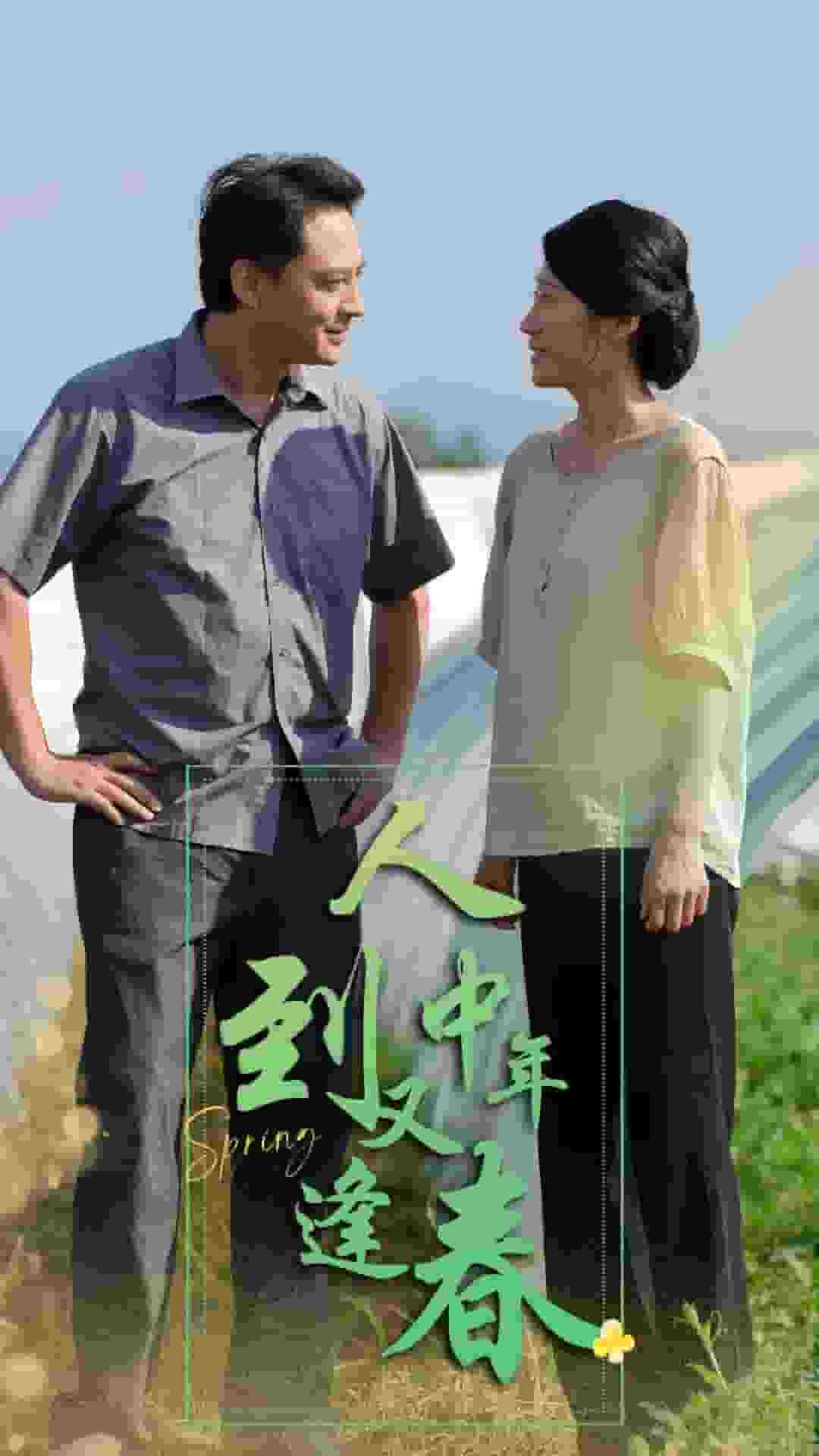 人到中年又逢春全集