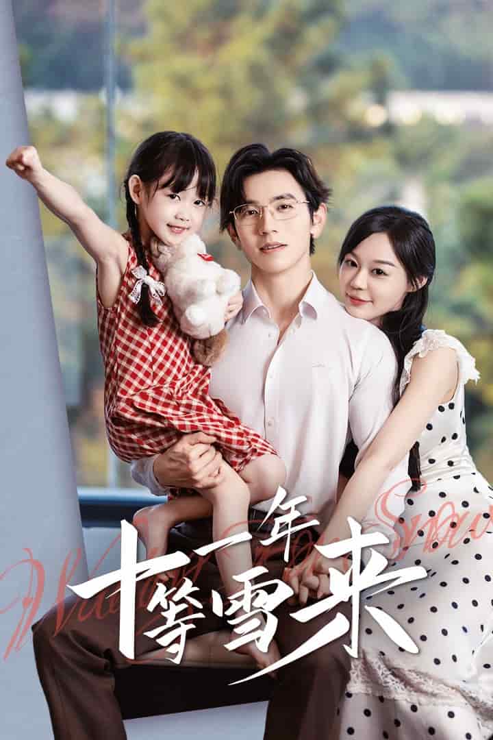 十一年等雪来全集