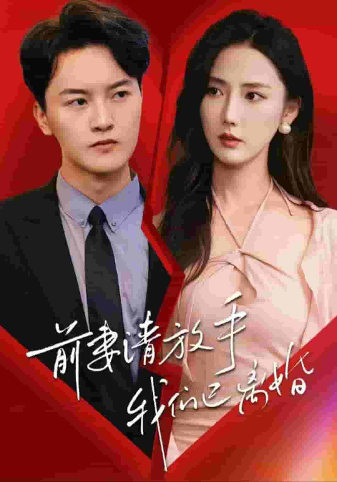 前妻请放手，我们已离婚全集