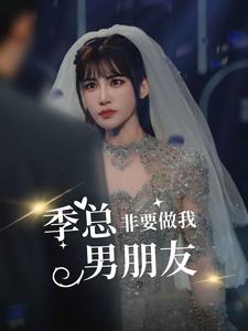 季总非要做我男朋友全集