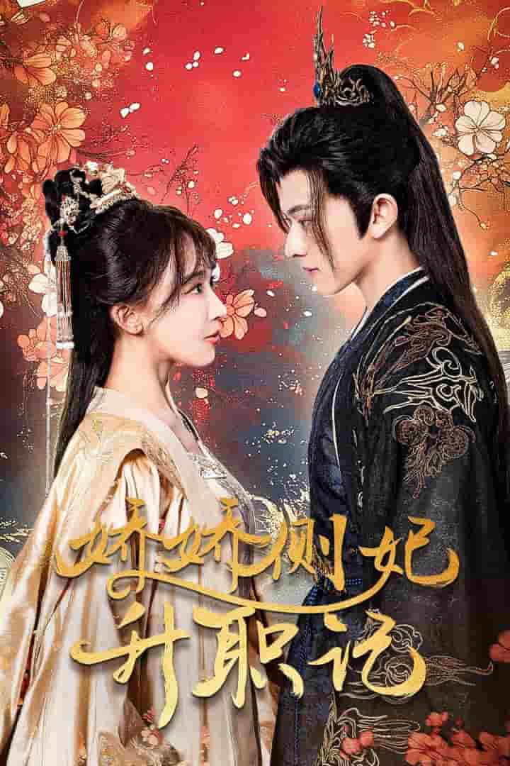 娇娇侧妃升职记全集