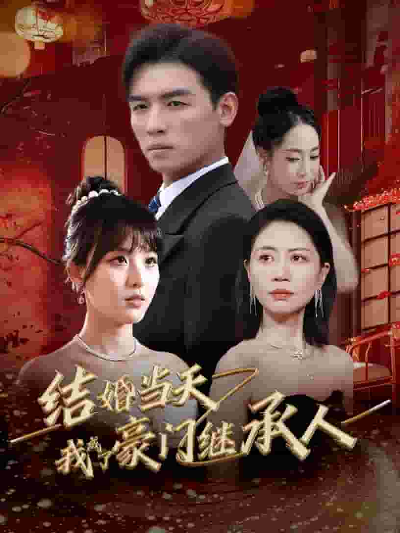 结婚当天我成了豪门继承人全集