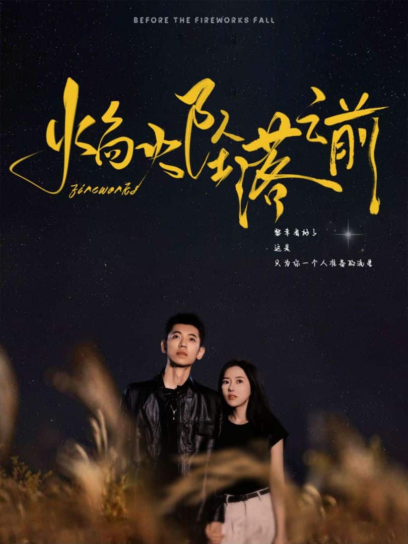 焰火坠落之前全集