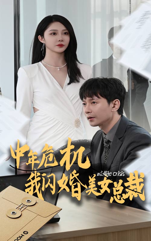 中年危机我闪婚美女总裁全集