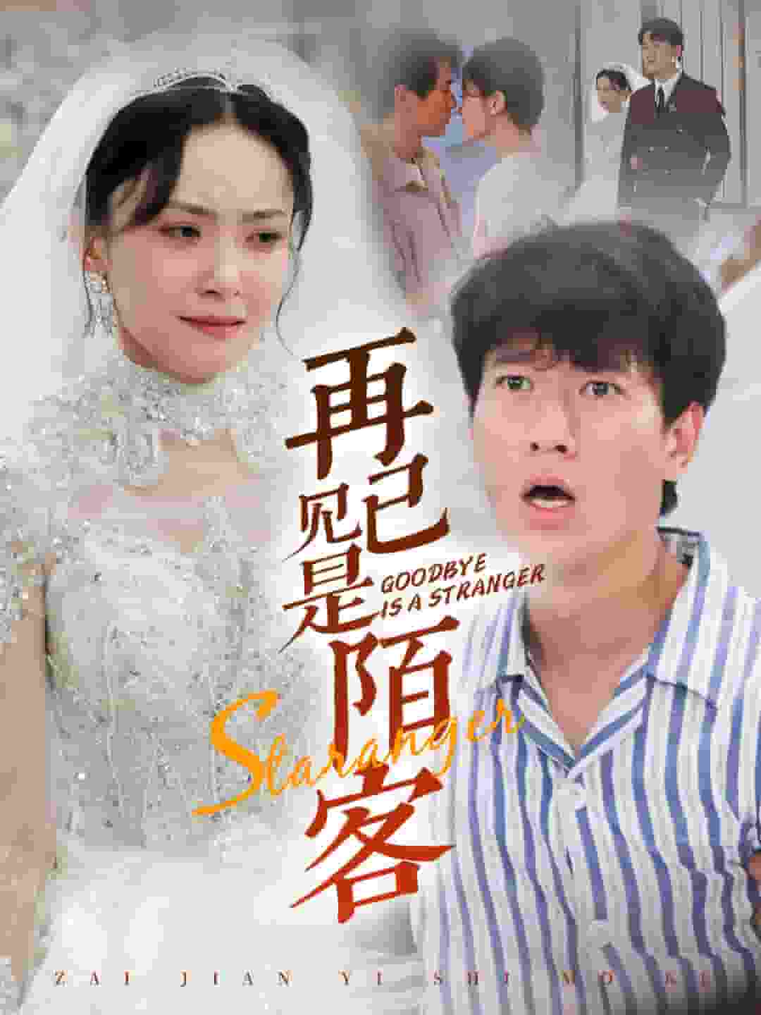 再见已是陌客全集