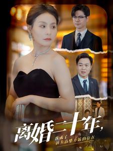 离婚二十年，我成了前夫高攀不起的存在全集