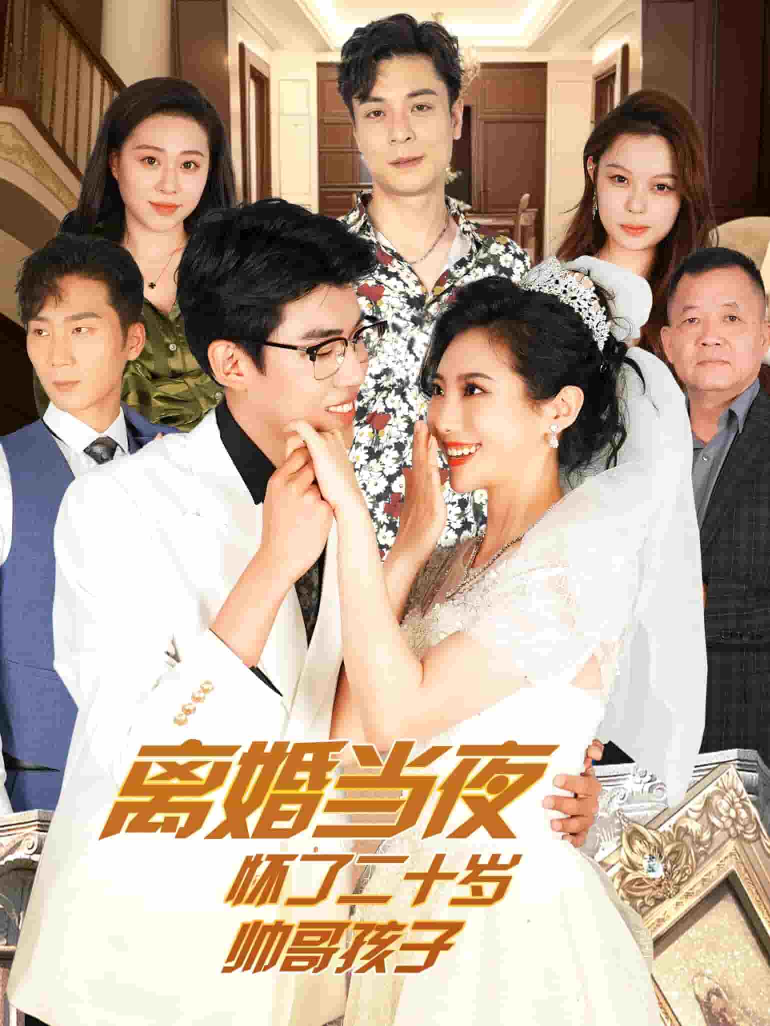 离婚当夜怀了二十岁帅哥全集