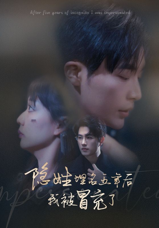 隐姓埋名五年后我被冒充了全集