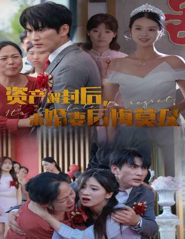 资产解封后，未婚妻后悔莫及全集
