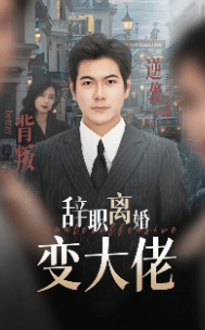 辞职离婚变大佬全集