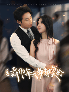 总裁他每天都想复婚全集