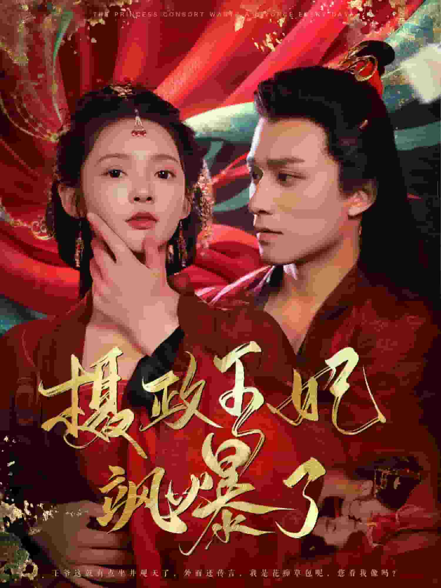 摄政王妃飒爆了全集