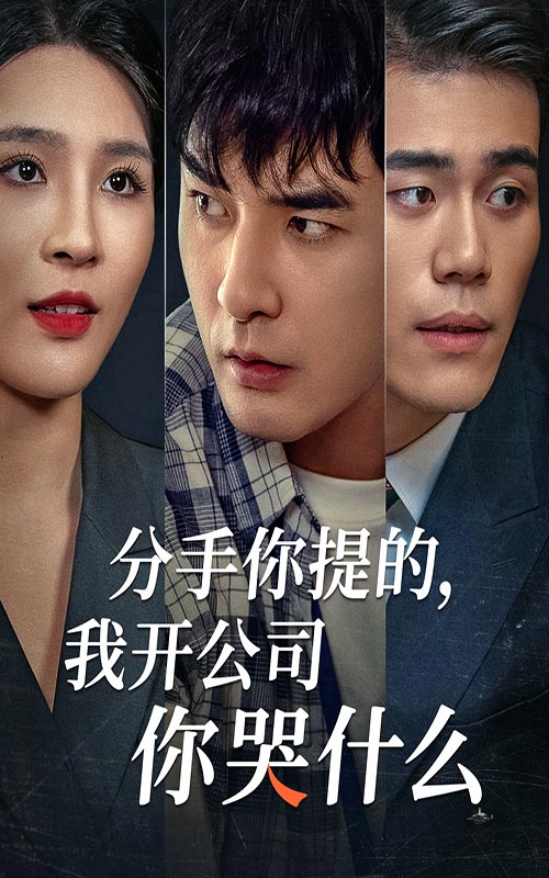 分手你提的，我开公司你哭什么全集