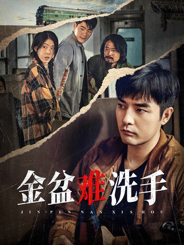 金盆难洗手全集