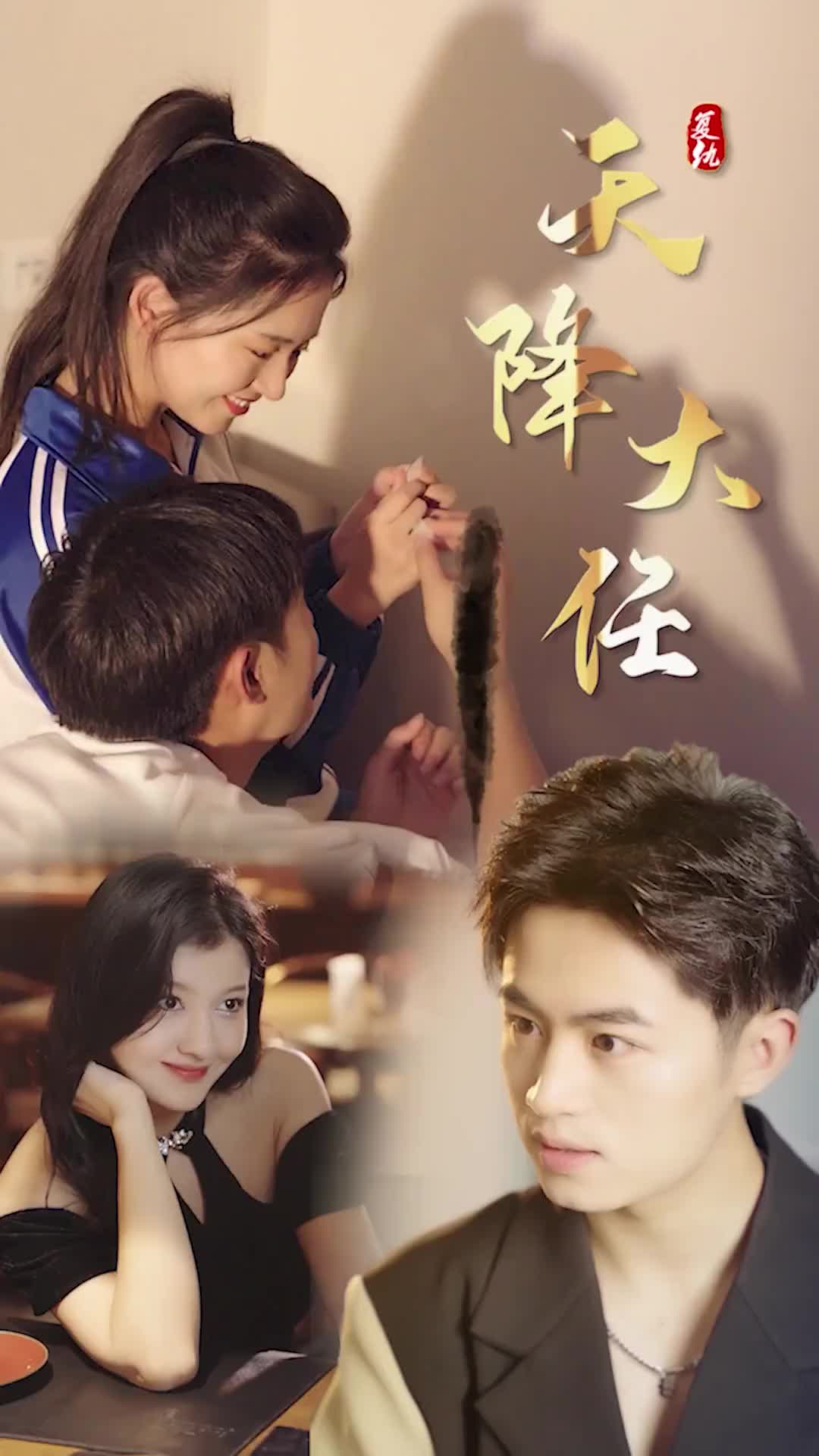 复仇天降大任全集