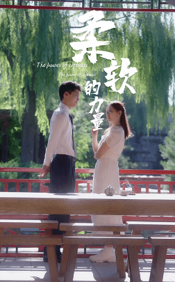 柔软的力量全集
