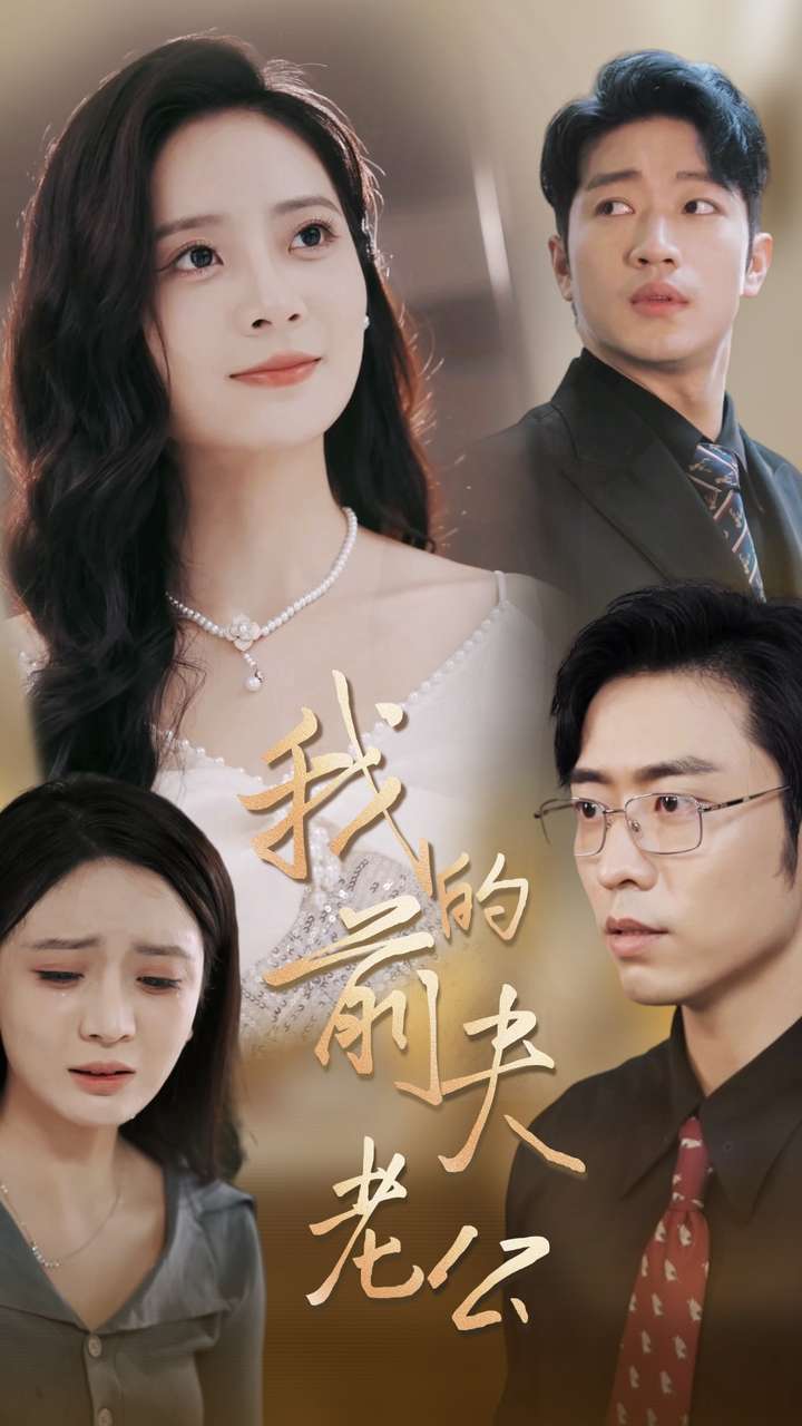 我的前夫老公全集