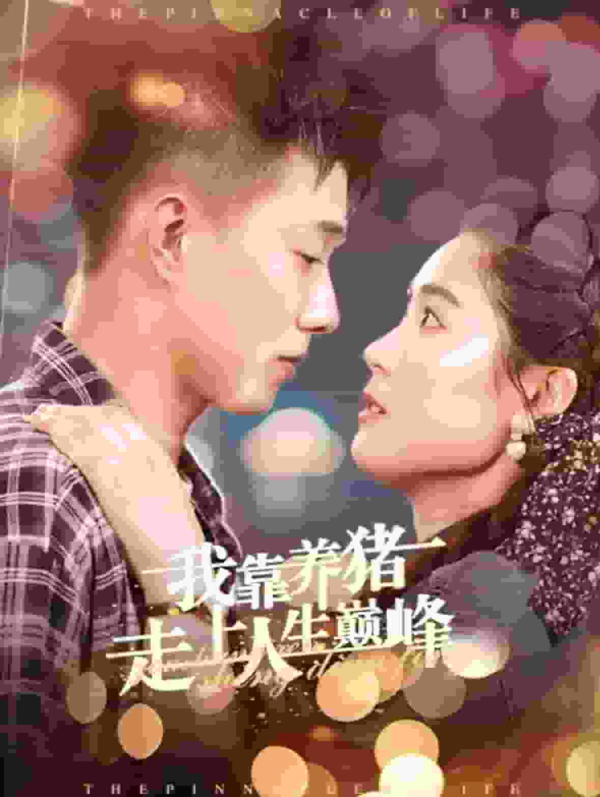 我靠养猪走上人生巅峰全集