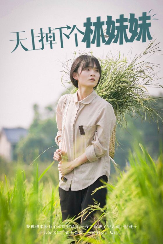 天上掉下个林妹妹全集