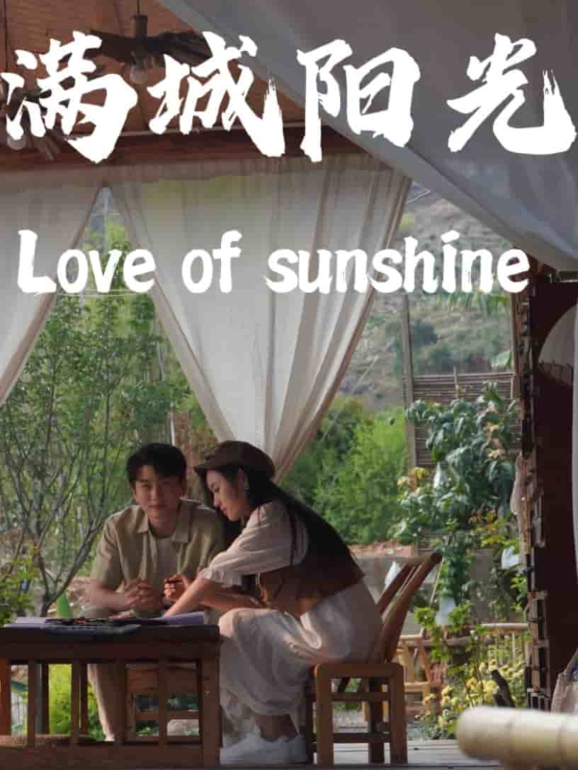 满城阳光全集