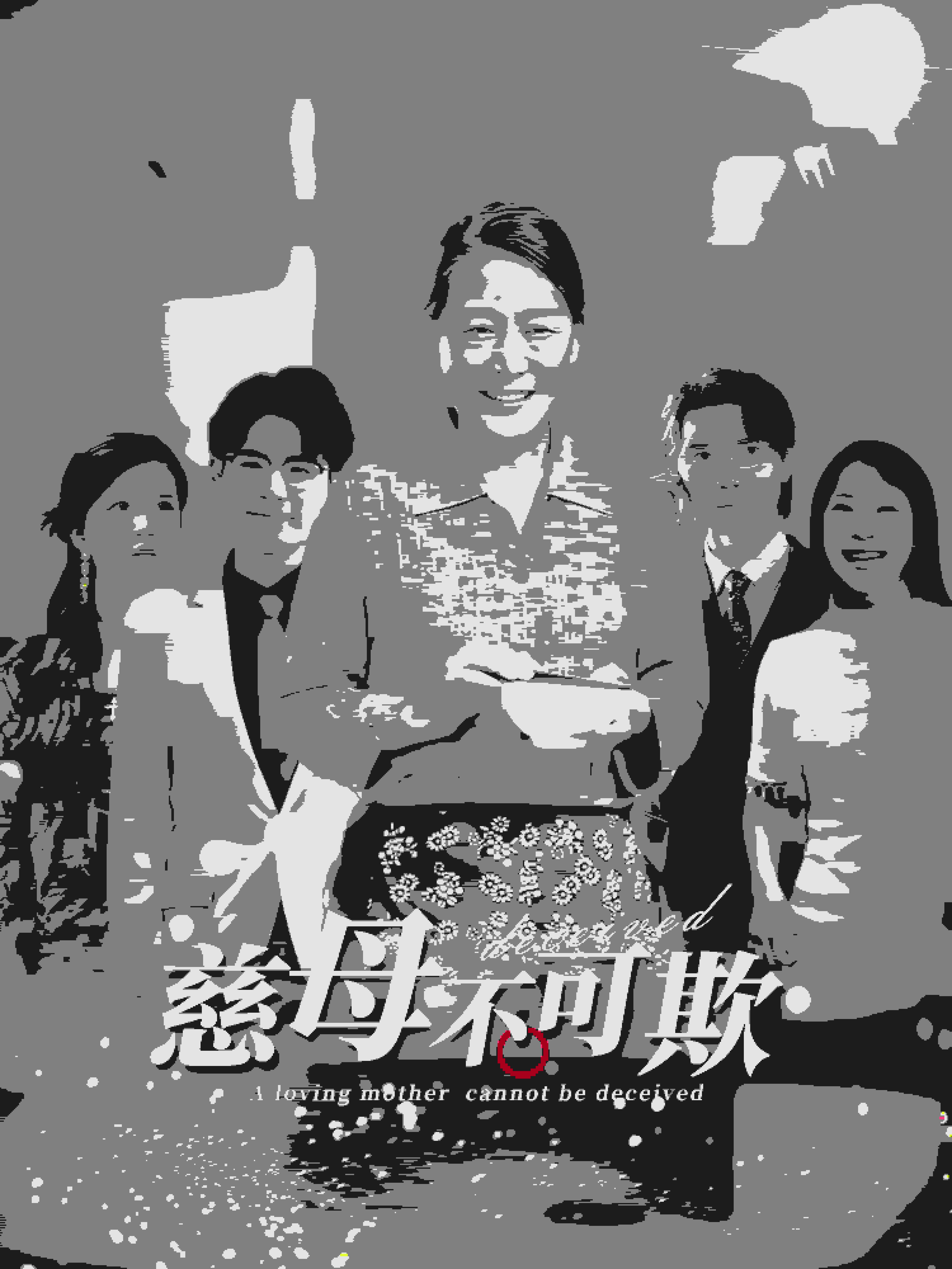 慈母不可欺全集