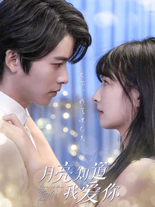 月亮知道我爱你全集