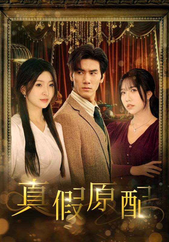 真假原配全集