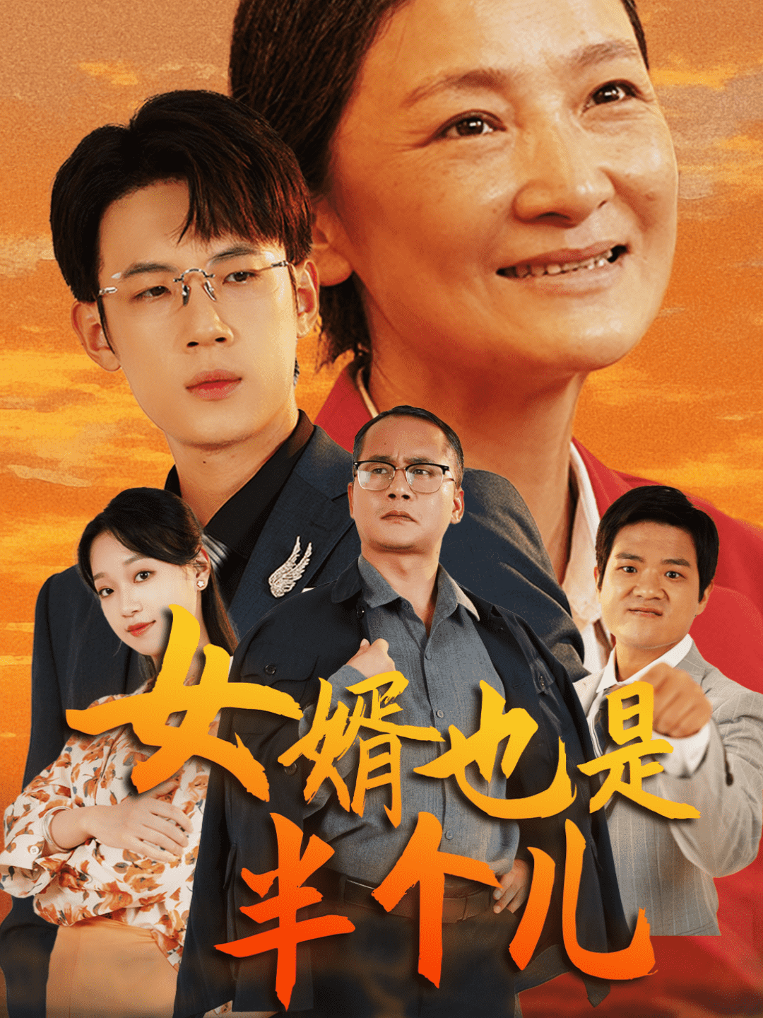 女婿也是半个儿全集