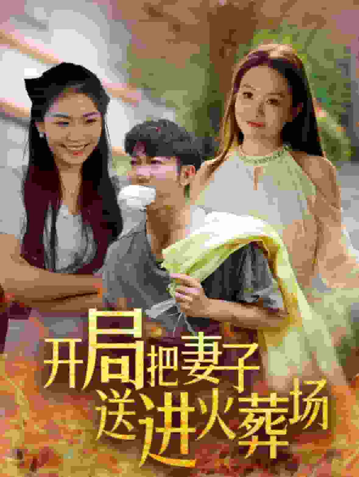 开局把妻子送进火葬场全集