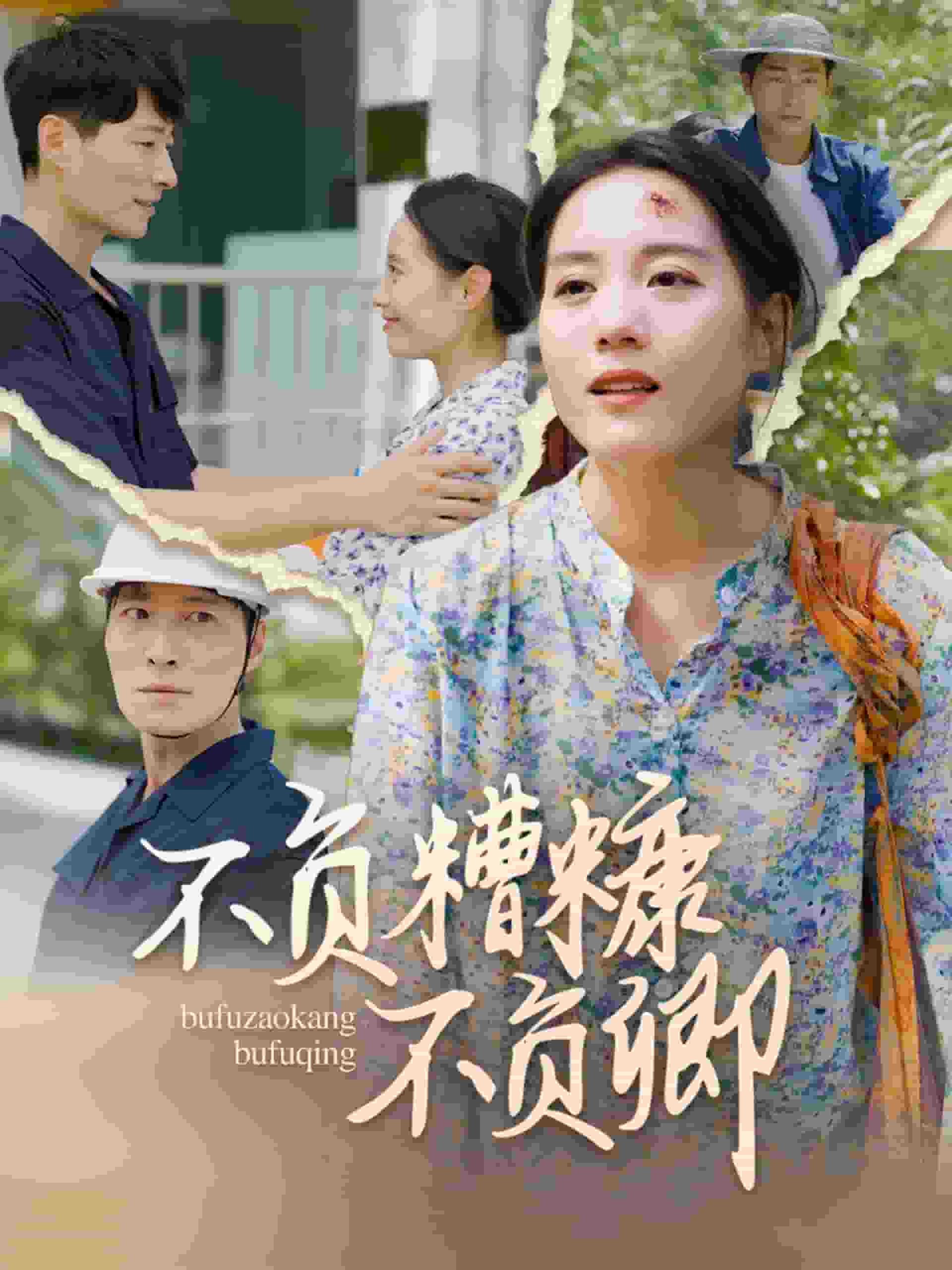 不负糟糠不负卿全集