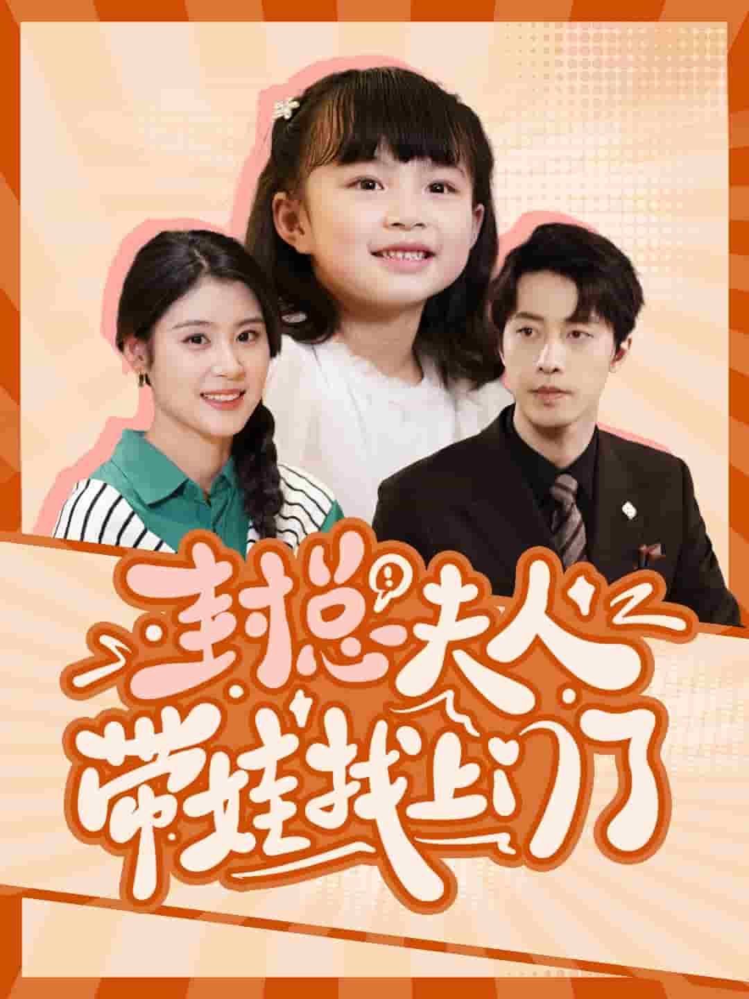 封总夫人带娃找上门了全集