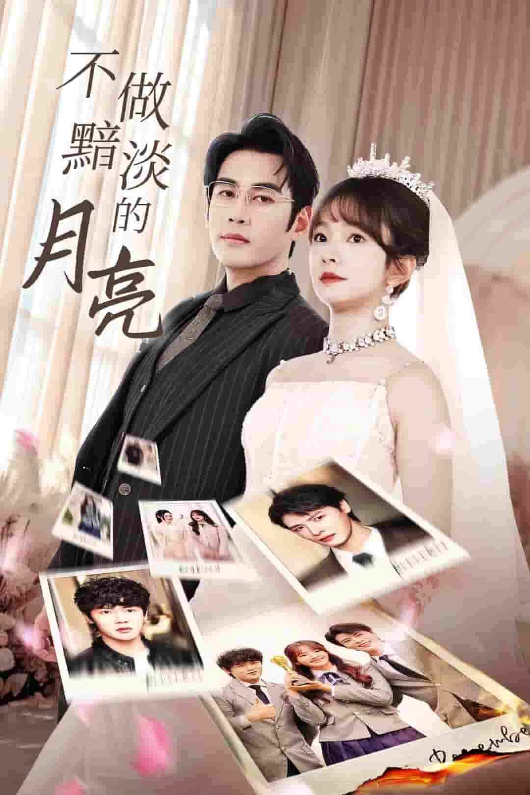 不做黯淡的月亮全集