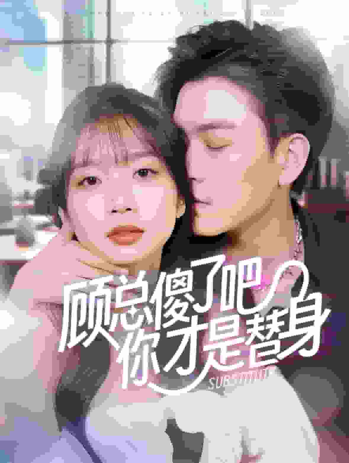 顾总傻了吧你才是替身全集