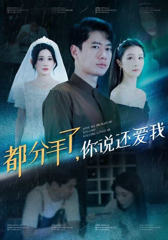都分手了你说还爱我全集