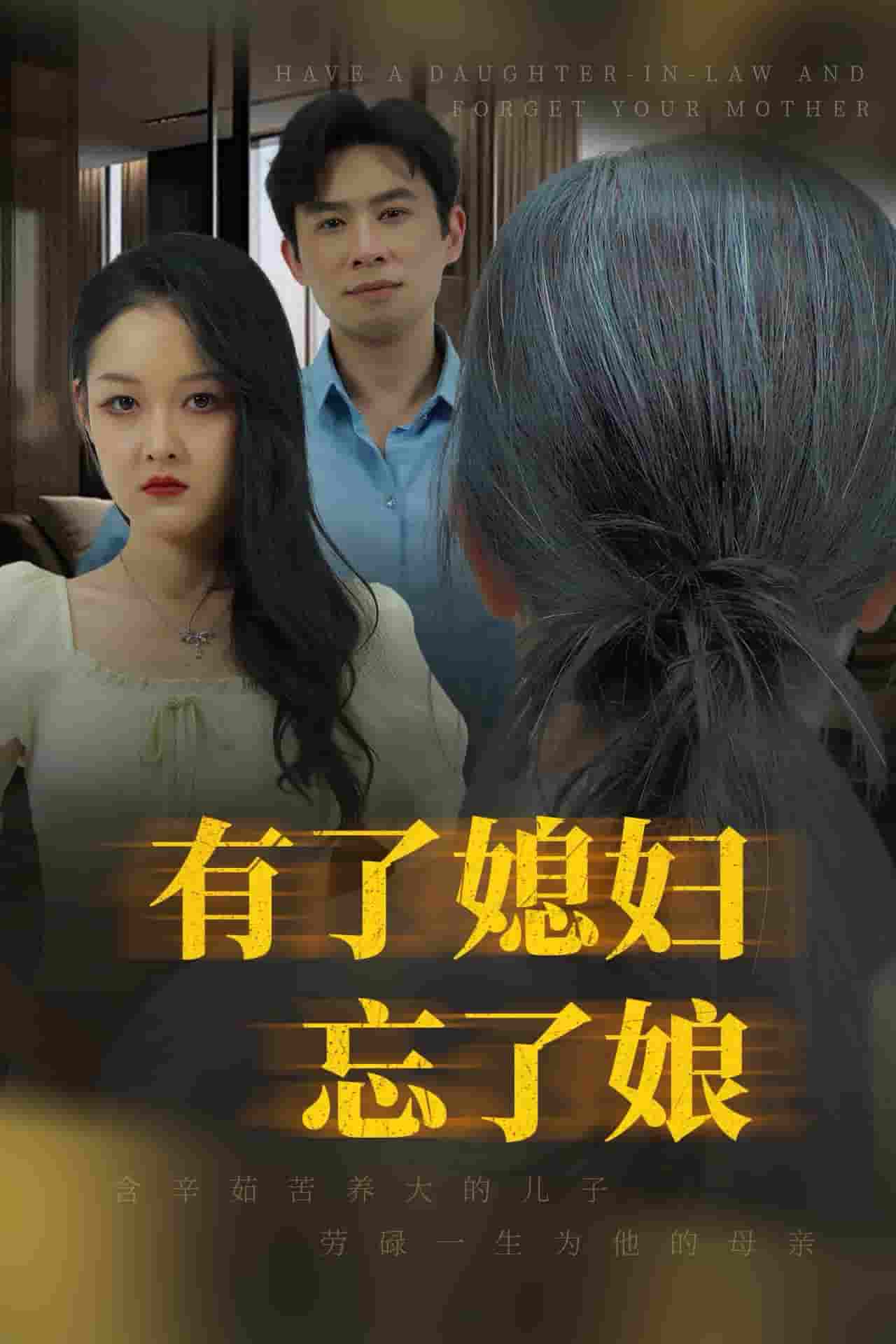 有了媳妇忘了娘全集