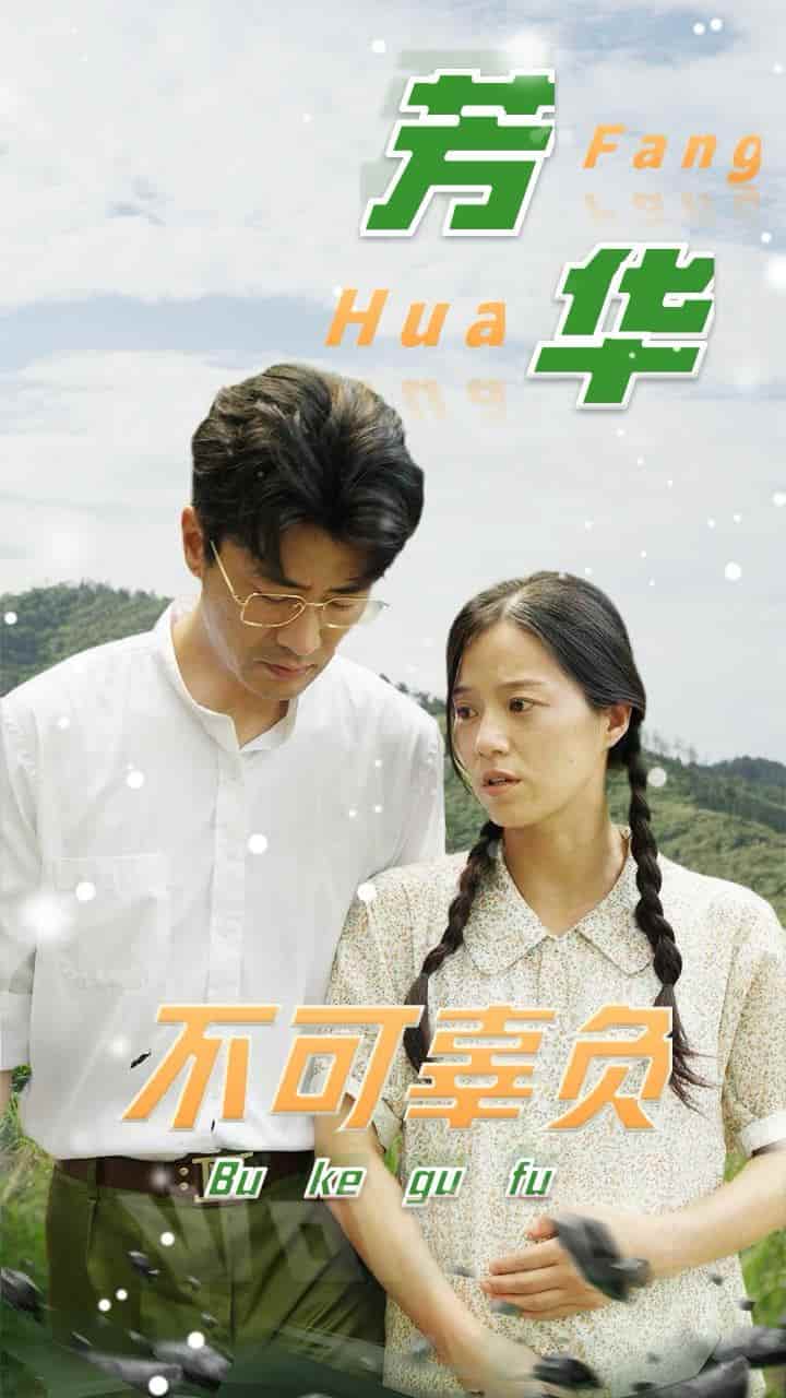 芳华不可辜负全集