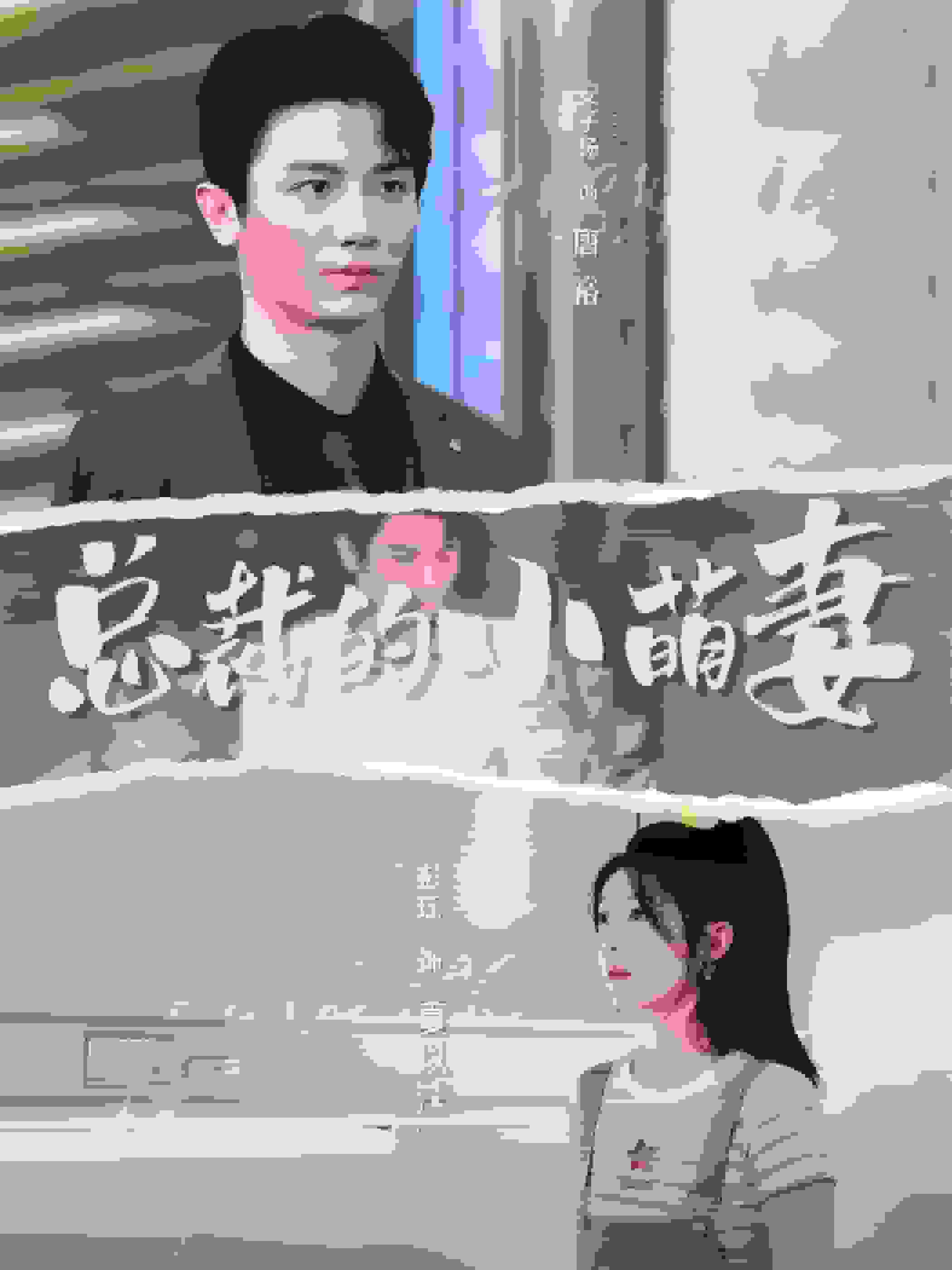 总裁的小萌妻全集