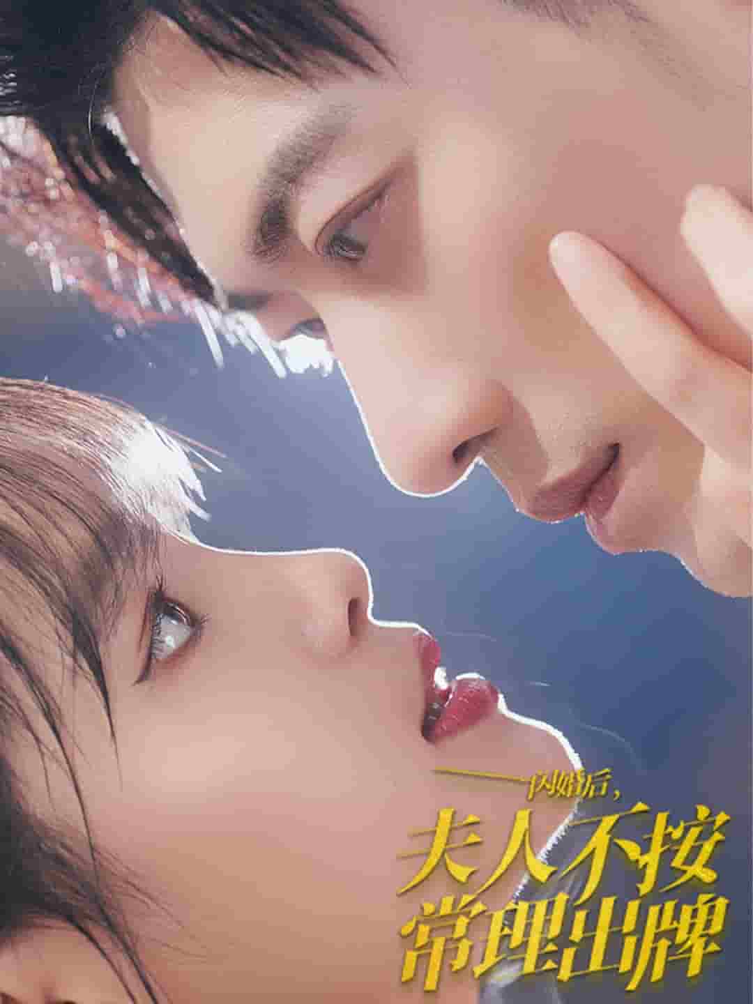 闪婚后夫人不按常理出牌全集