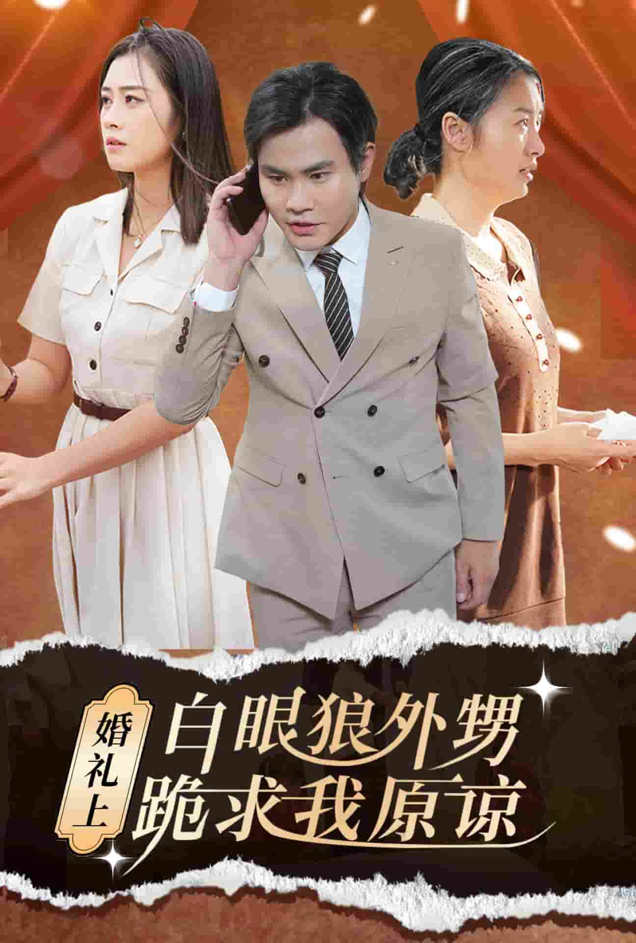 婚礼上白眼狼外甥跪求我原谅全集