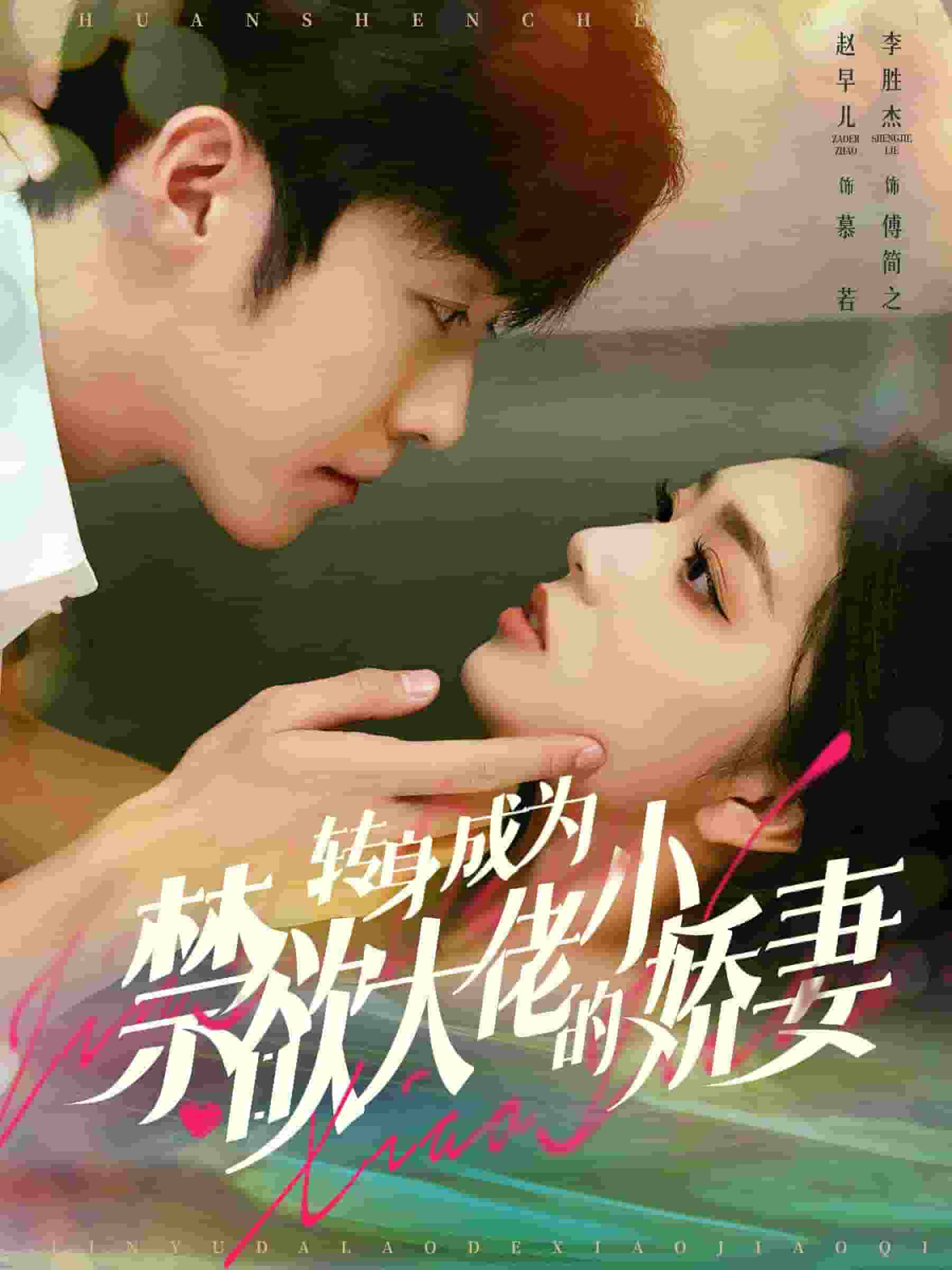 转身成为禁欲大佬的小娇妻全集