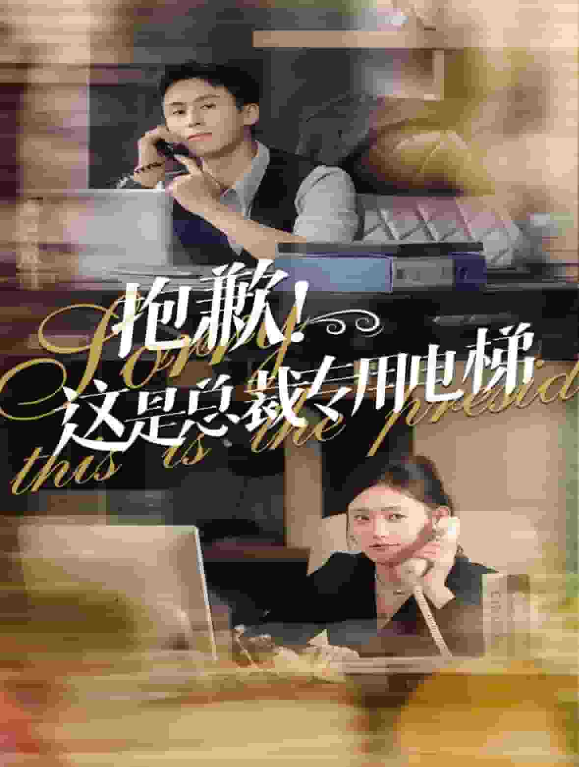 抱歉这是总裁专用电梯全集