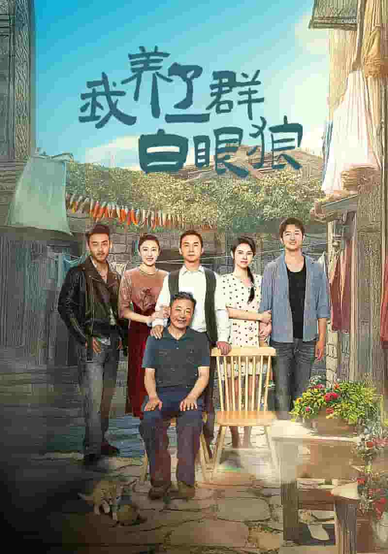 家家有本难念的经 短剧版全集