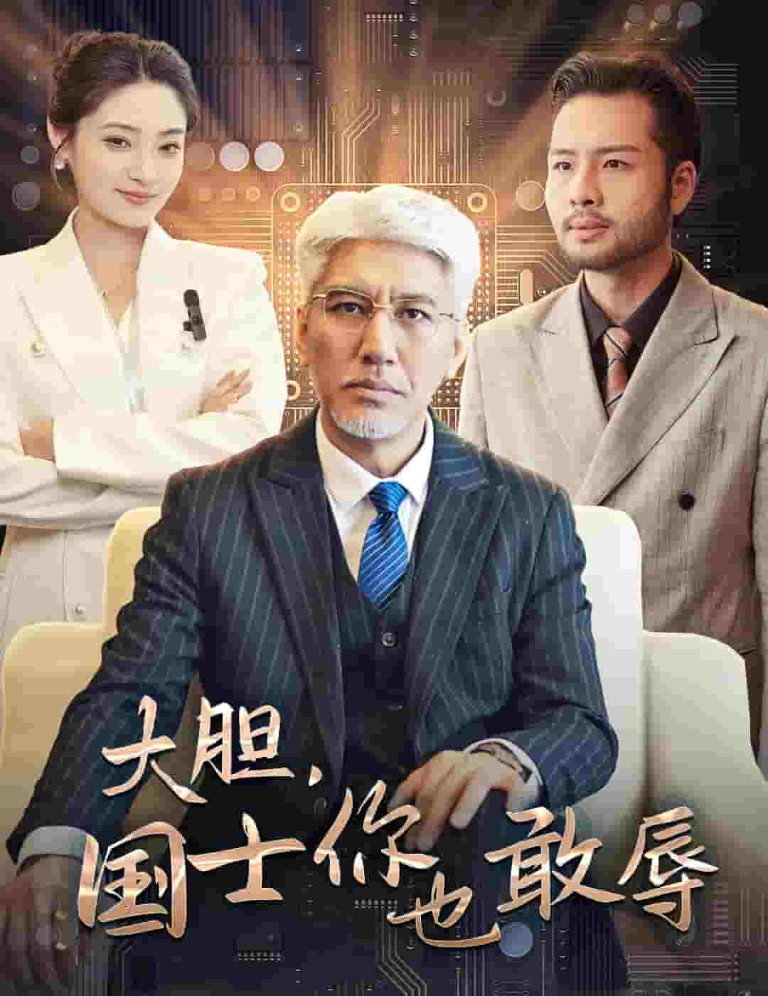 大胆国士你也敢辱全集