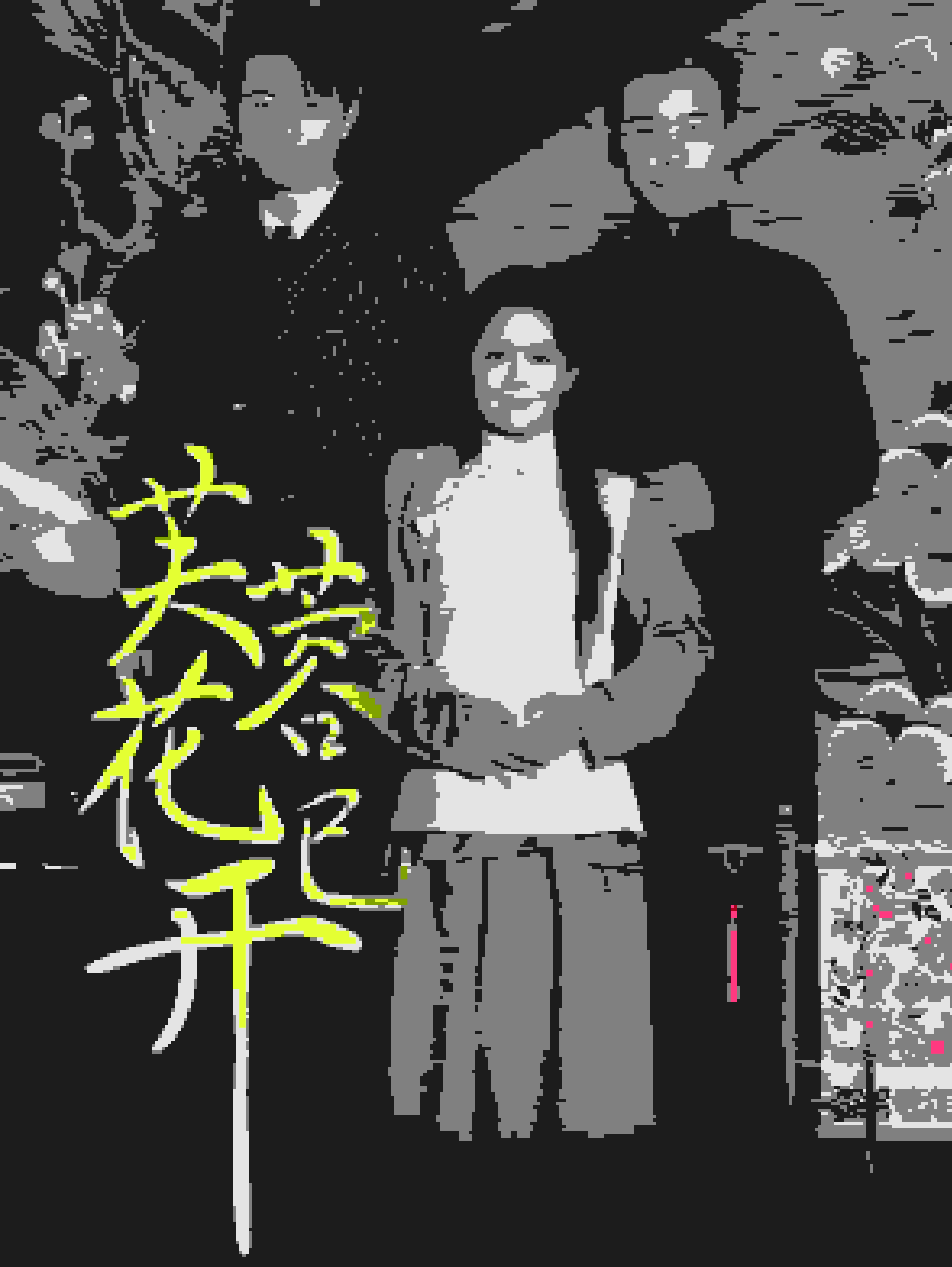 芙蓉花已开全集