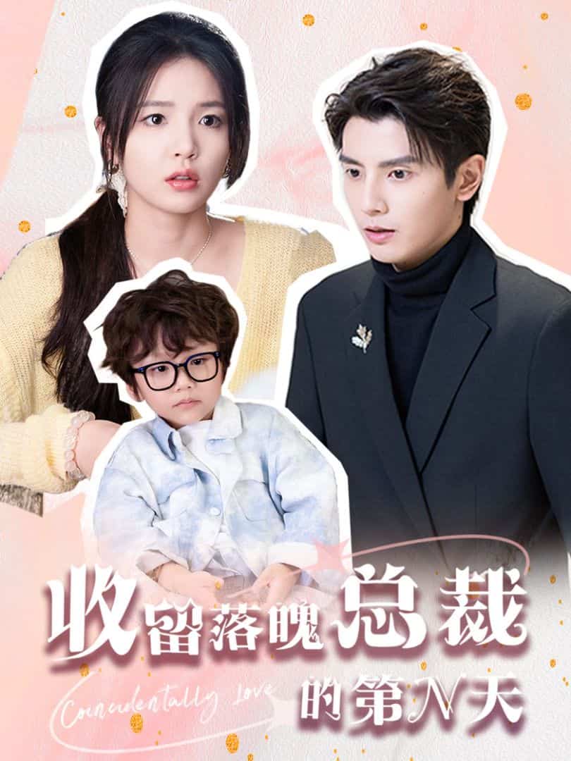 收留落魄总裁的第N天全集