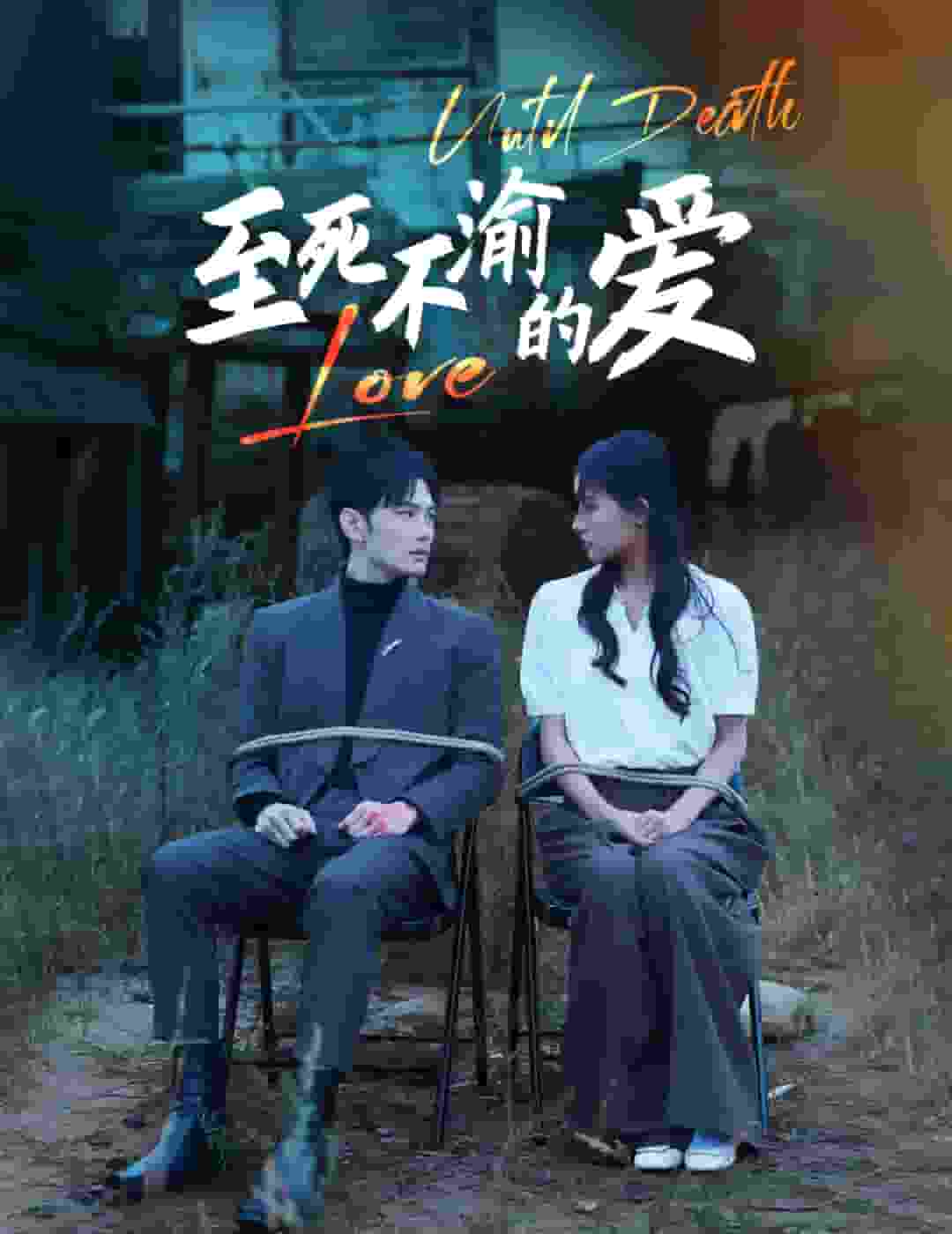 至死不渝的爱全集