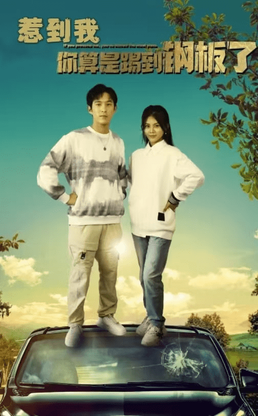 惹到我你算是踢到钢板了全集