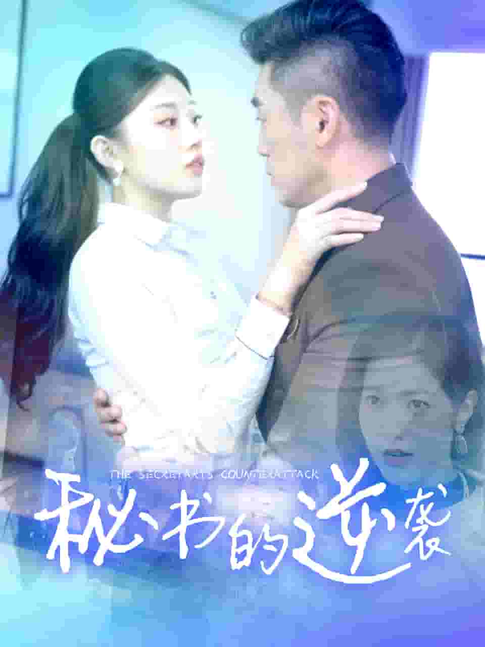 秘书的逆袭全集