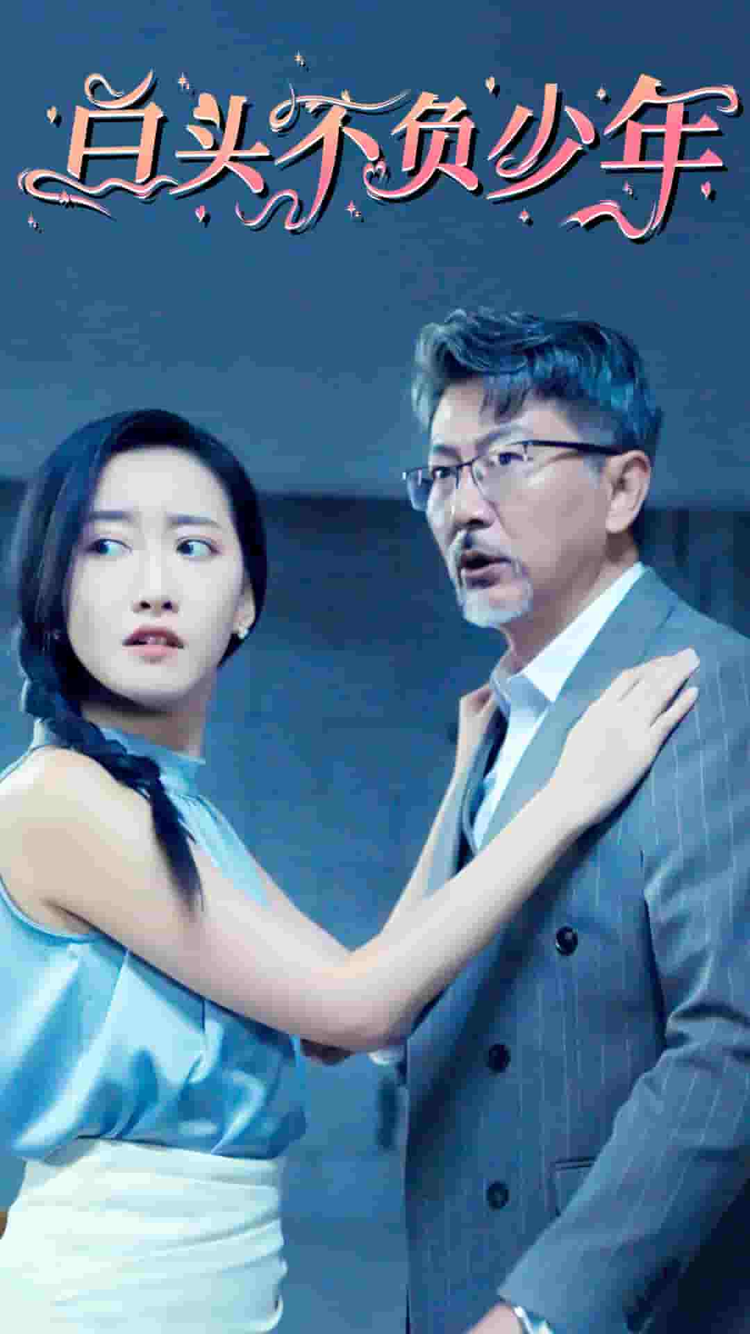 白头不负少年全集